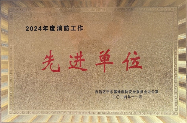 筑牢安全基石 强化消防管控|宝廷新材料荣获2024年度消防工作先进单位