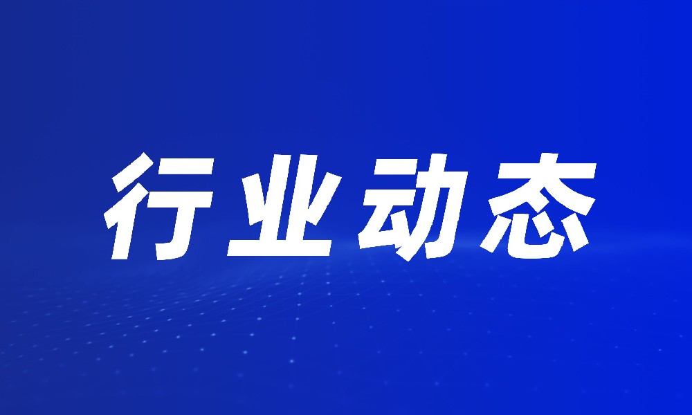 提出“2030年初步建成清洁低碳安全高效的新型能源体系”
